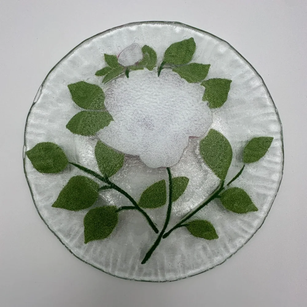 Sydenstricker glass plates